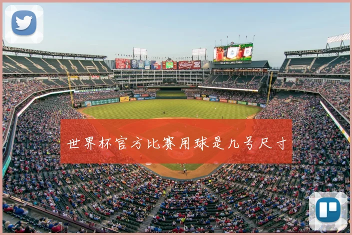 世界杯官方比赛用球是几号尺寸