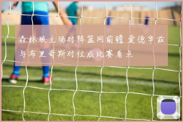 森林狼主场对阵篮网前瞻 爱德华兹与布里奇斯对位成比赛看点