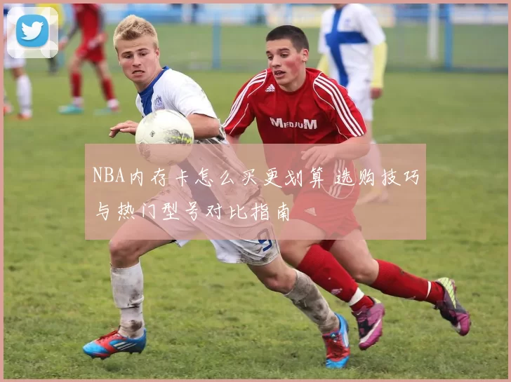 NBA内存卡怎么买更划算 选购技巧与热门型号对比指南