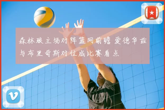 森林狼主场对阵篮网前瞻 爱德华兹与布里奇斯对位成比赛看点